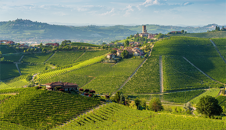 Langhe Italy 