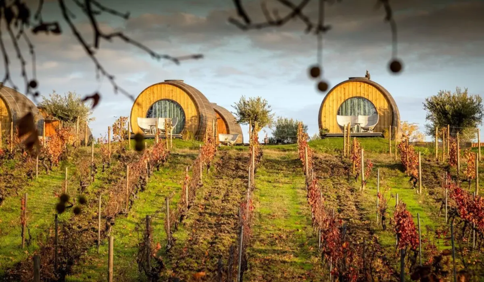 Wine Barrels Suites in Portugal