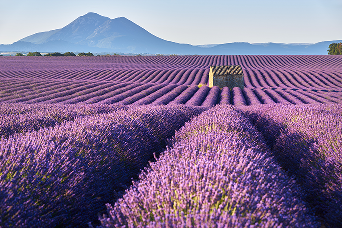 Provence France 