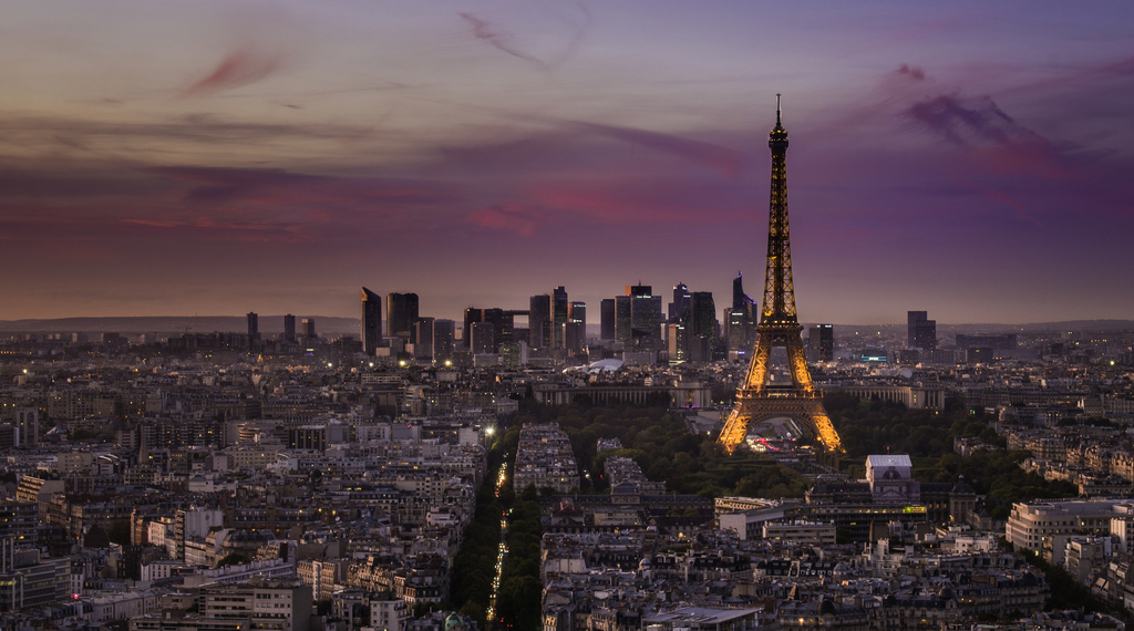 view of Paris and Eiffel Tower