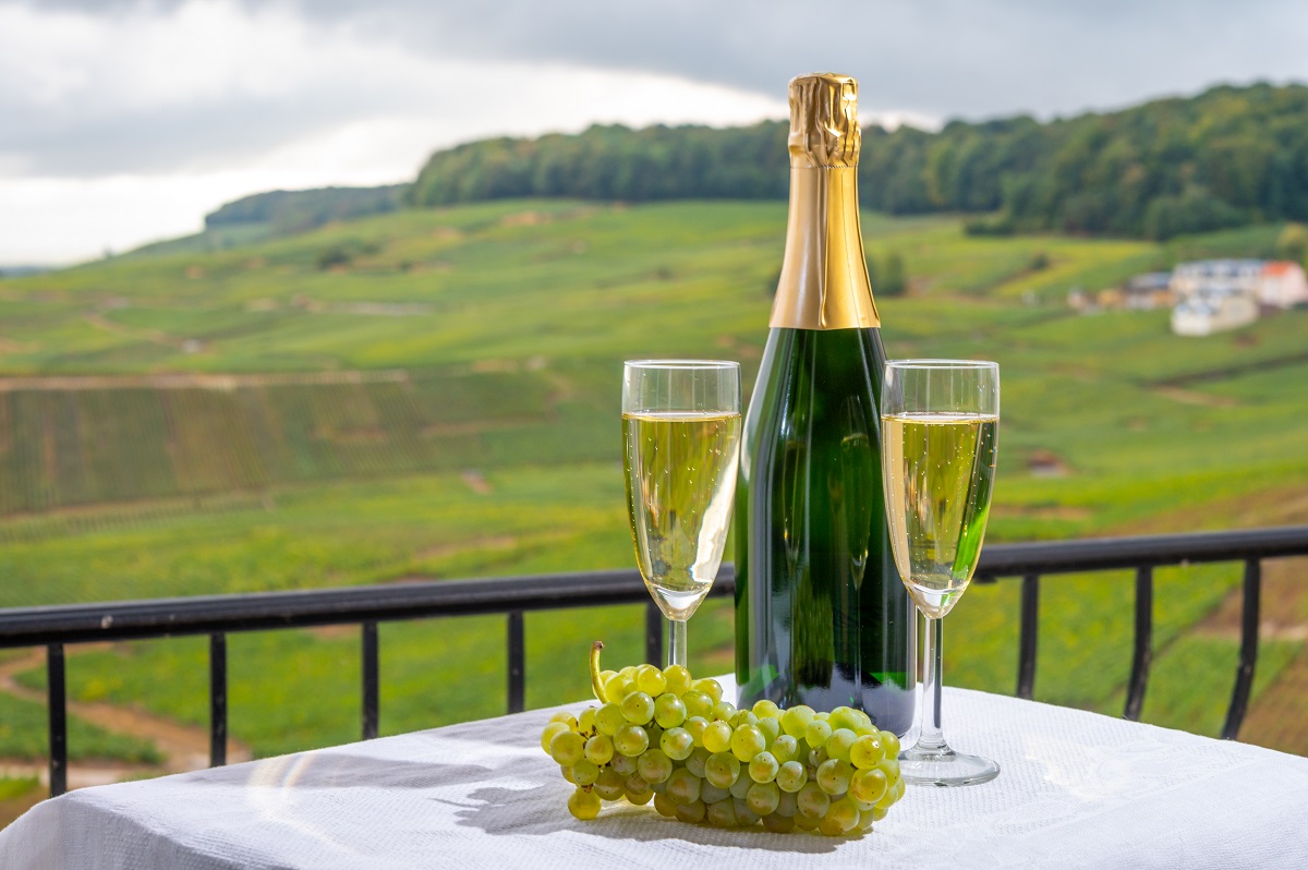 wine tasting in the Champagne region