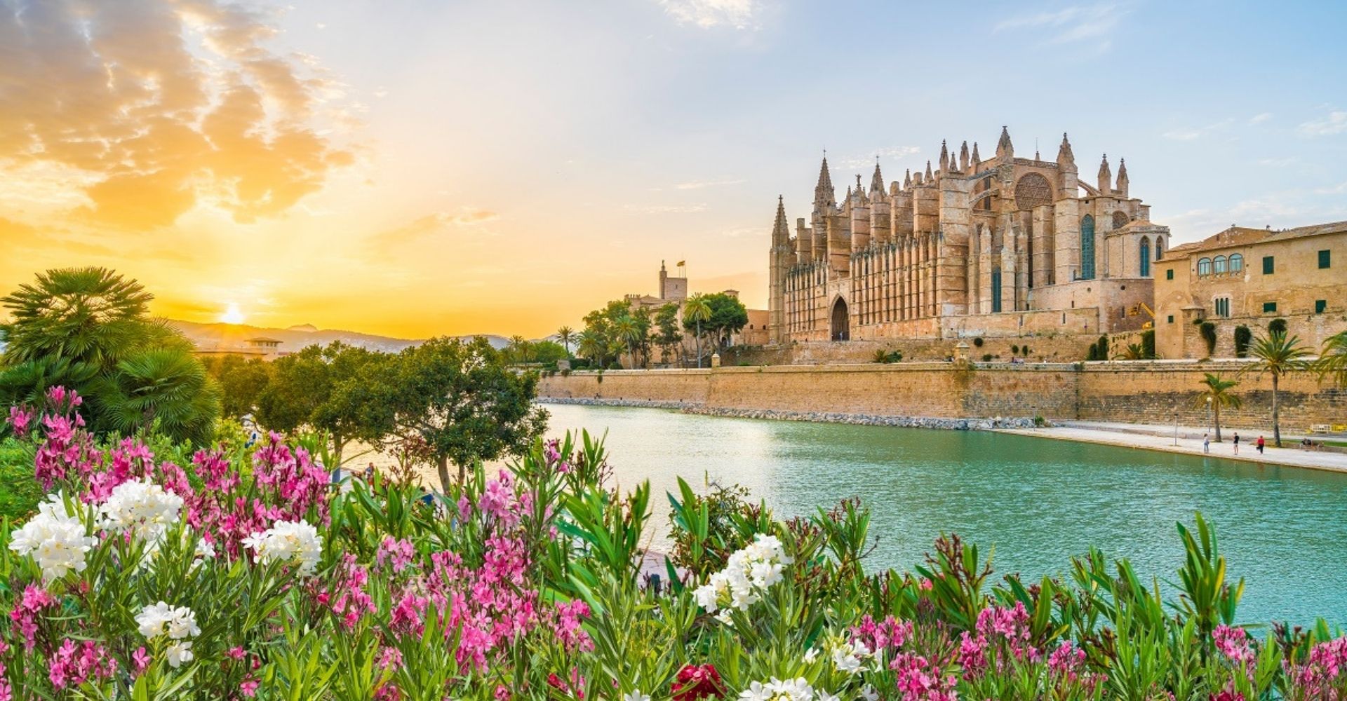 View of cathedral in Mallorca at sunset