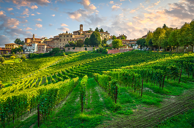 Langhe Italy